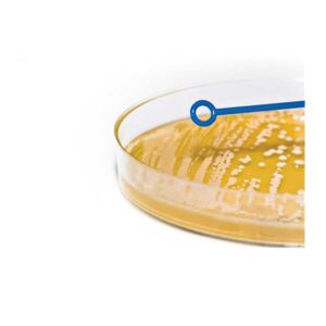 Asas bacteriológicas Plásticas desechables